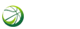 006直播网